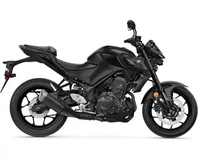 Argyll Motorsports 2025 Yamaha MT-03 With its sophisticated engine, lightweight handling and naked s...