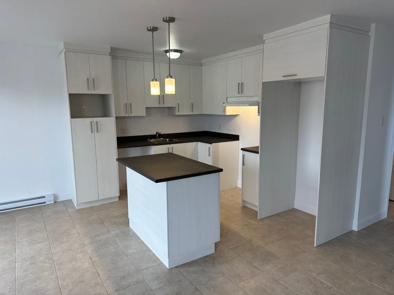 Beau 5 1/2 Chicoutiminord Rénové a neuf libre le 1er avril 2024