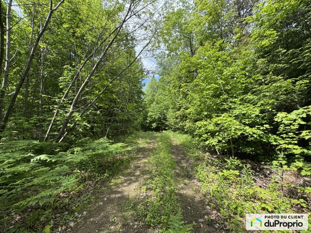 $448,000 - Residential Lot for sale in Gore — photo 3