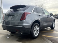 AMVIC Licensed Dealer AMVIC LICENSED DEALER. Stock number: YK102706B The 2021 Cadillac XT5 Luxury AW... (image 8)