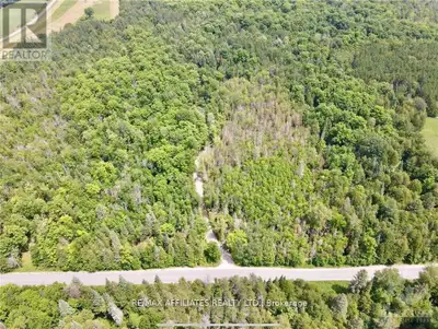 Discover your own slice of tranquility on this 4.23-acre wooded lot, surrounded by the stillness tha...
