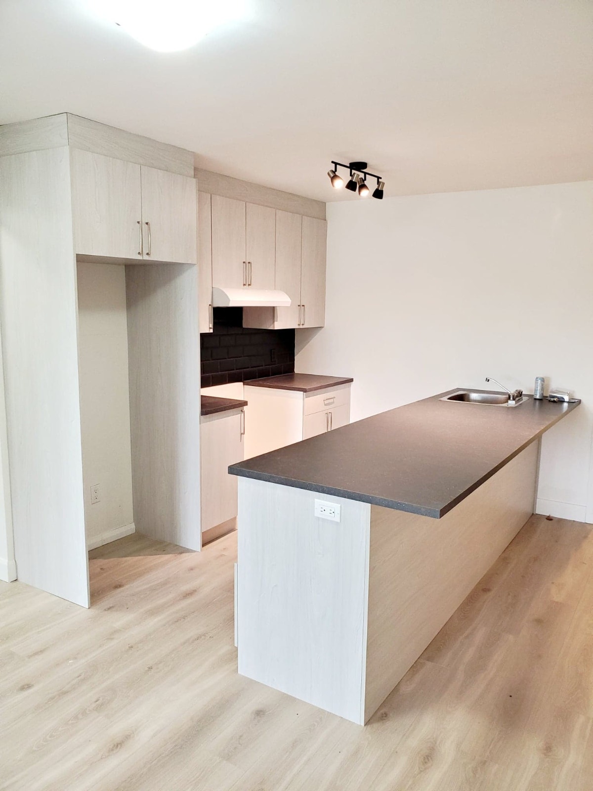 4507 Rue L'Heureux — photo 1