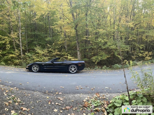 $275,000 - Residential Lot for sale in St-Donat — photo 3
