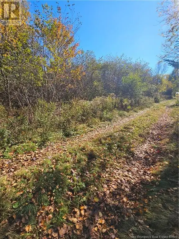 Lot Route 111 Bains Corner, New Brunswick in Land for Sale in Saint John - Image 4