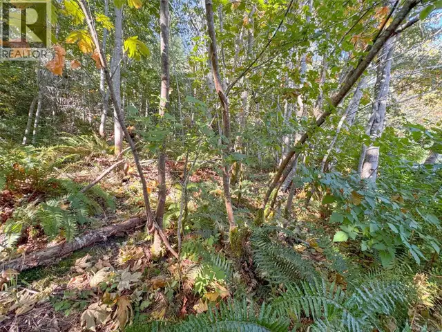 Lot 7 The Strand Gabriola Island, British Columbia in Land for Sale in Nanaimo - Image 18