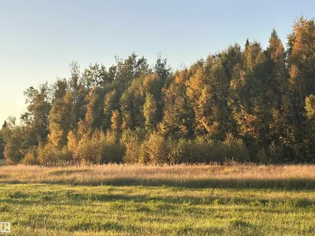 Range Road 225 @ township 612 Rural Thorhild County, Alberta in Land for Sale in Edmonton - Image 6