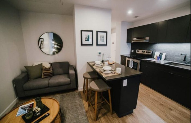 Furnished 2 Bedroom-Entire apartment! in Short Term Rentals in Winnipeg - Image 3