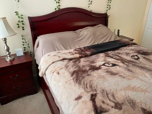 ⚜️ Ƹ̵̡Ӝ̵̨̄Ʒ Queen bed frame with 1 nights table for sale Ƹ̵̡Ӝ̵ in Beds & Mattresses in Delta/Surrey/Langley - Image 2