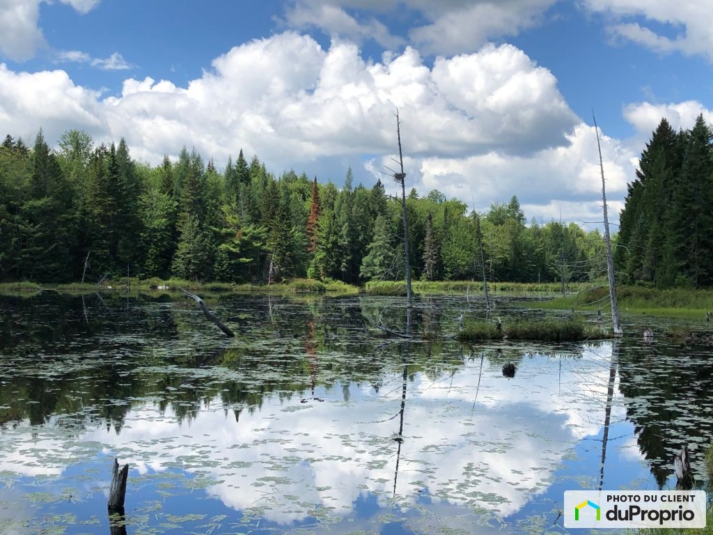 $980,000 - Land to be developed for sale in St-Damien — photo 2