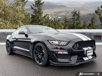 Feel the pulse-pounding power of a true performance icon with this 2016 Ford Mustang Shelby GT350, e... (image 6)
