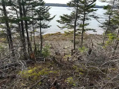 Ocean front property at it's finest, located just 15 minutes from the town of Clarenville & amenitie...