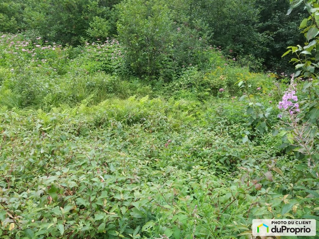 $87,500 - Residential Lot for sale in St-Côme — photo 3