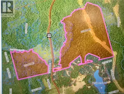 Discover the perfect escape with this expansive 121 acre(+/-) parcel, including a lovely camp nestle...