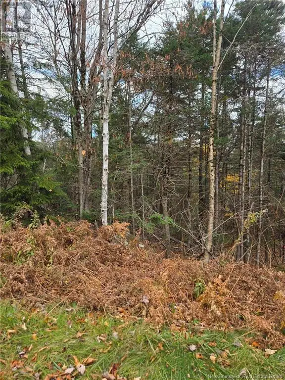 21-01 Worden Road Kingston, New Brunswick in Land for Sale in Saint John - Image 13