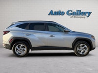 Accident Free! | Apple CarPlay / Android Auto | Heated Front Seats | Heated Steering Wheel | Auto Ve... (image 6)