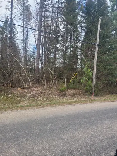 49 ACRES VACANT LAND. 20 ACRES CLEARED. BUILD YOUR DREAM HOME. PRIVATE SETTING. PARTLY FENCED. HYDRO...