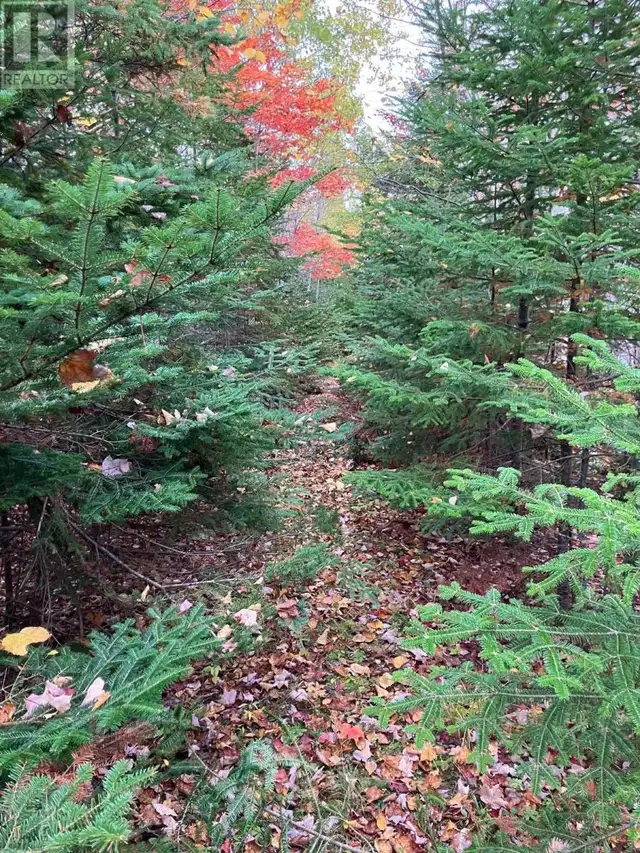 Pinevale Road Dunmore, Nova Scotia in Land for Sale in New Glasgow - Image 10