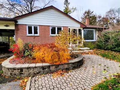 CHARMING 3 Bdrm MAIN FLOOR! Beautiful! Avail. Sept 1!