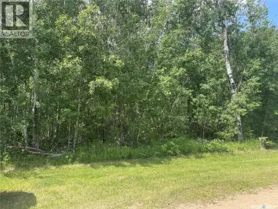 Beautifully treed 0.28-acre building parcel ready for your dream cabin or permanent home. Titled lot...