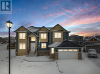 163 Canoe Crescent SW Airdrie, Alberta