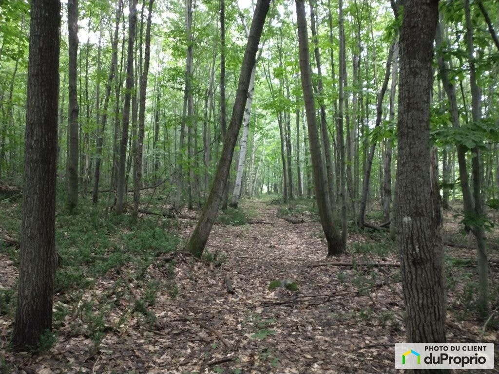 $145,000 - Price taxes not included - Wood Lot in St-Cuthbert — photo 3