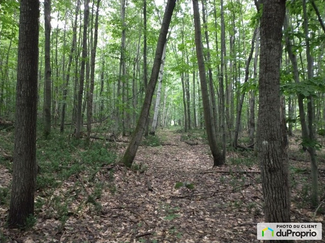 $145,000 - Price taxes not included - Wood Lot in St-Cuthbert — photo 3