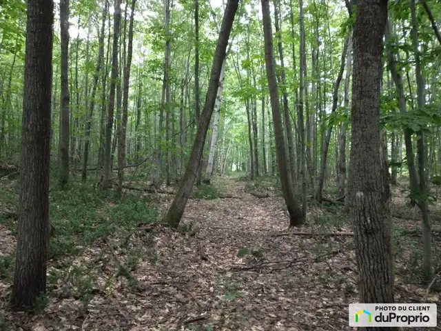 $145,000 - Price taxes not included - Wood Lot in St-Cuthbert in Land for Sale in Laval / North Shore - Image 4