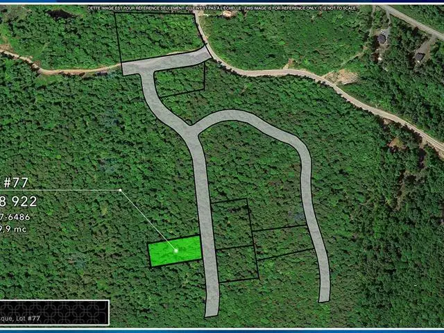 40 Ch. de la Fresque Val-des-Monts, Quebec62863332815361121