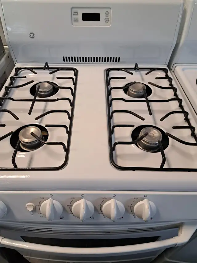STOVES. Propane, Gas and Electric. Apt Size. 20 inch + 24 inch in Stoves, Ovens & Ranges in City of Toronto - Image 3