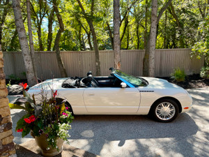 2002 Ford Thunderbird Deluxe