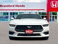 Feel the exhilarating power of the 2024 Ford Mustang I4CP, an American icon engineered for pure perf... (image 9)