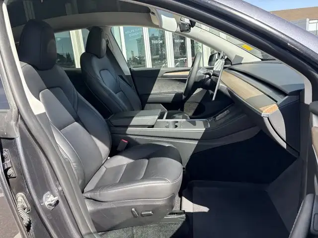 2023 Tesla Model Y Base5601878023766118425