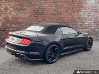 Come see this 2022 Ford Mustang GT Premium before it's too late! *Get Your Money's Worth for this Fo... (image 4)
