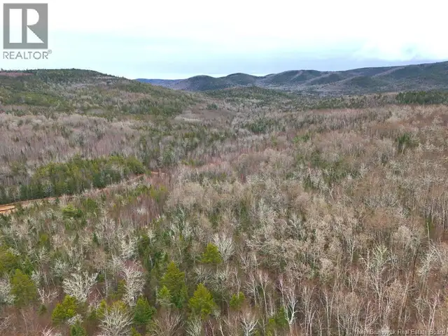 Lot Shaw Road Shenstone, New Brunswick in Land for Sale in Moncton - Image 12