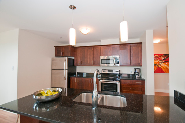 2 BR -  Condo Style - Dog Friendly! in Long Term Rentals in City of Halifax - Image 4