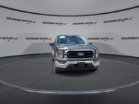 // ACCIDENT FREE!! // Built to work hard and drive with confidence, this 2023 Ford F-150 XLT Reg Cab... (image 2)