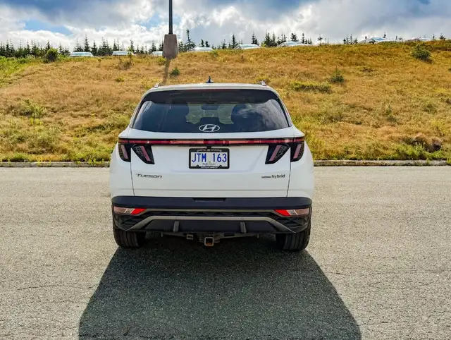 2024 Hyundai Tucson Hybrid Luxury in Cars & Trucks in St. John's - Image 6