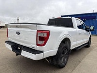THE PRICE YOU SEE, PLUS GST. GUARANTEED!APPLE CARPLAY/ANDROID AUTO COMPATABLE! 3.5LITER ECOBOOST, 10... (image 7)