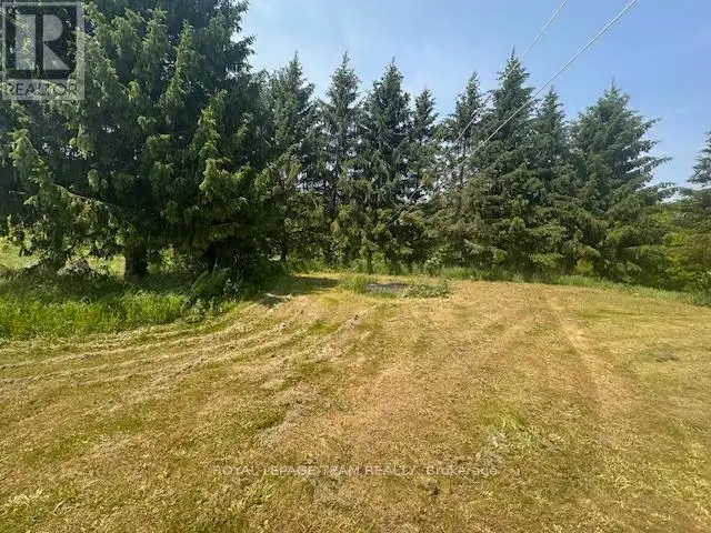 5296 PANMURE ROAD Mississippi Mills, Ontario in Houses for Sale in Ottawa - Image 10