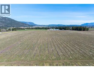 An exceptional opportunity to acquire 160 acres of flat, highly usable agricultural land in the hear...