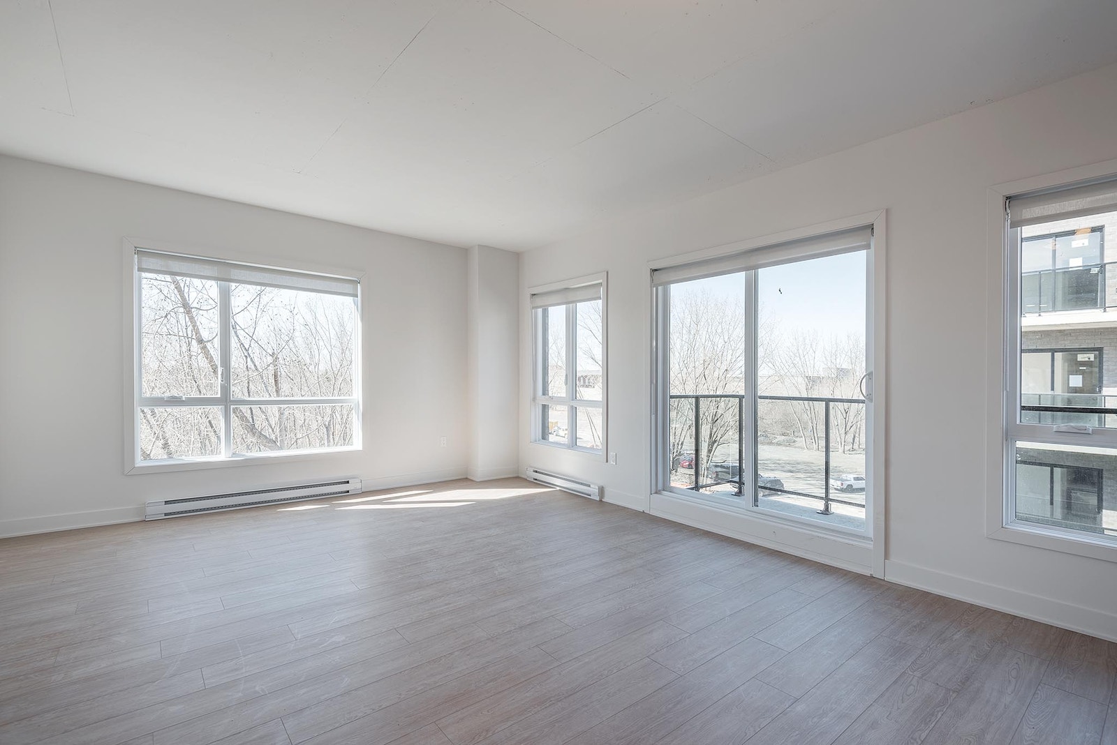 65 William Macdonald — photo 1