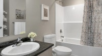 Broadstreet’s Forest Ridge offers 1, 2, and 3-bedroom pet-friendly apartments for rent in Campbell R... (image 7)