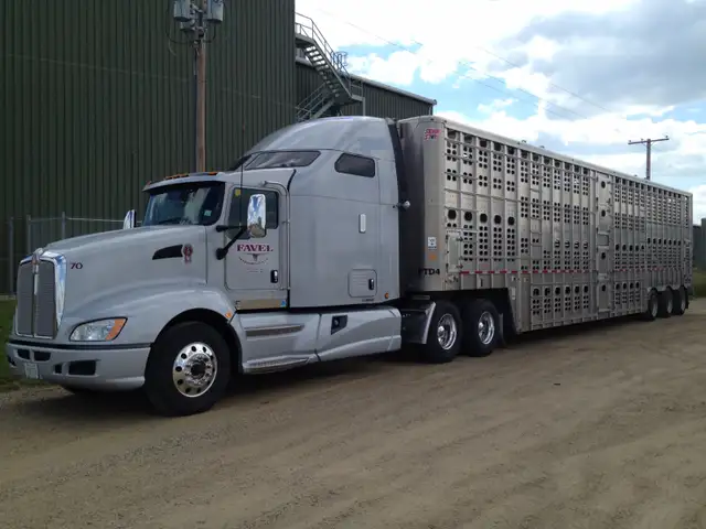 Owner Operator - Livestock Division in Drivers & Security in Moose Jaw - Image 7