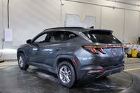 Special Finance Price: $30,999 | Cash Price: $32,499 2024 Hyundai Tucson Trend AWD - No Accidents, C... (image 3)