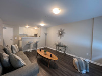 BRAND NEW RENOVATED 1 BEDROOM LUXURY APARTMENTS IN OTTAWA