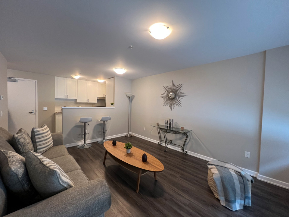 BRAND NEW RENOVATED 1 BEDROOM LUXURY APARTMENTS IN OTTAWA in Long Term Rentals in Ottawa
