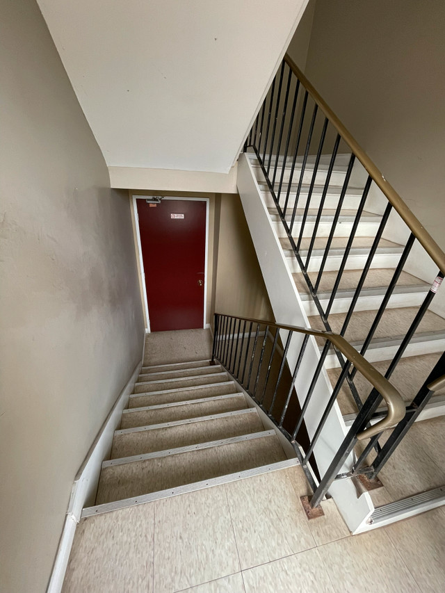 Saint John 1 Bedroom Apartment for Rent 45405 Coldbrook Cresc Long Term Rentals Saint