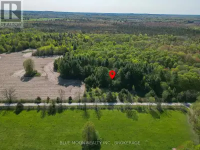 Discover the canvas for your dream home on this picturesque 1.83-acre vacant lot just north of Lyndh...