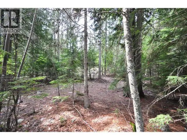 2835 SILVER KING Road Nelson, British Columbia in Land for Sale in Nelson - Image 19