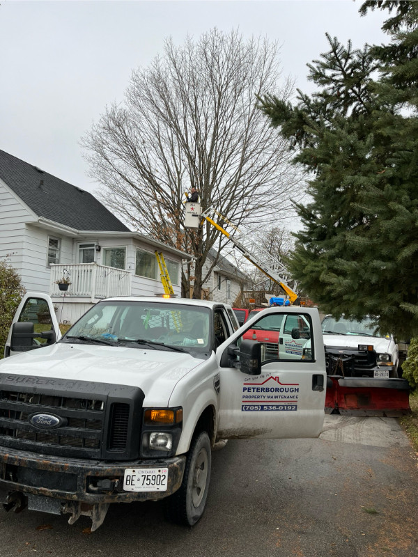 TREE TRIMMING - PRUNING - REMOVAL in Lawn, Tree Maintenance & Eavestrough in Peterborough - Image 2